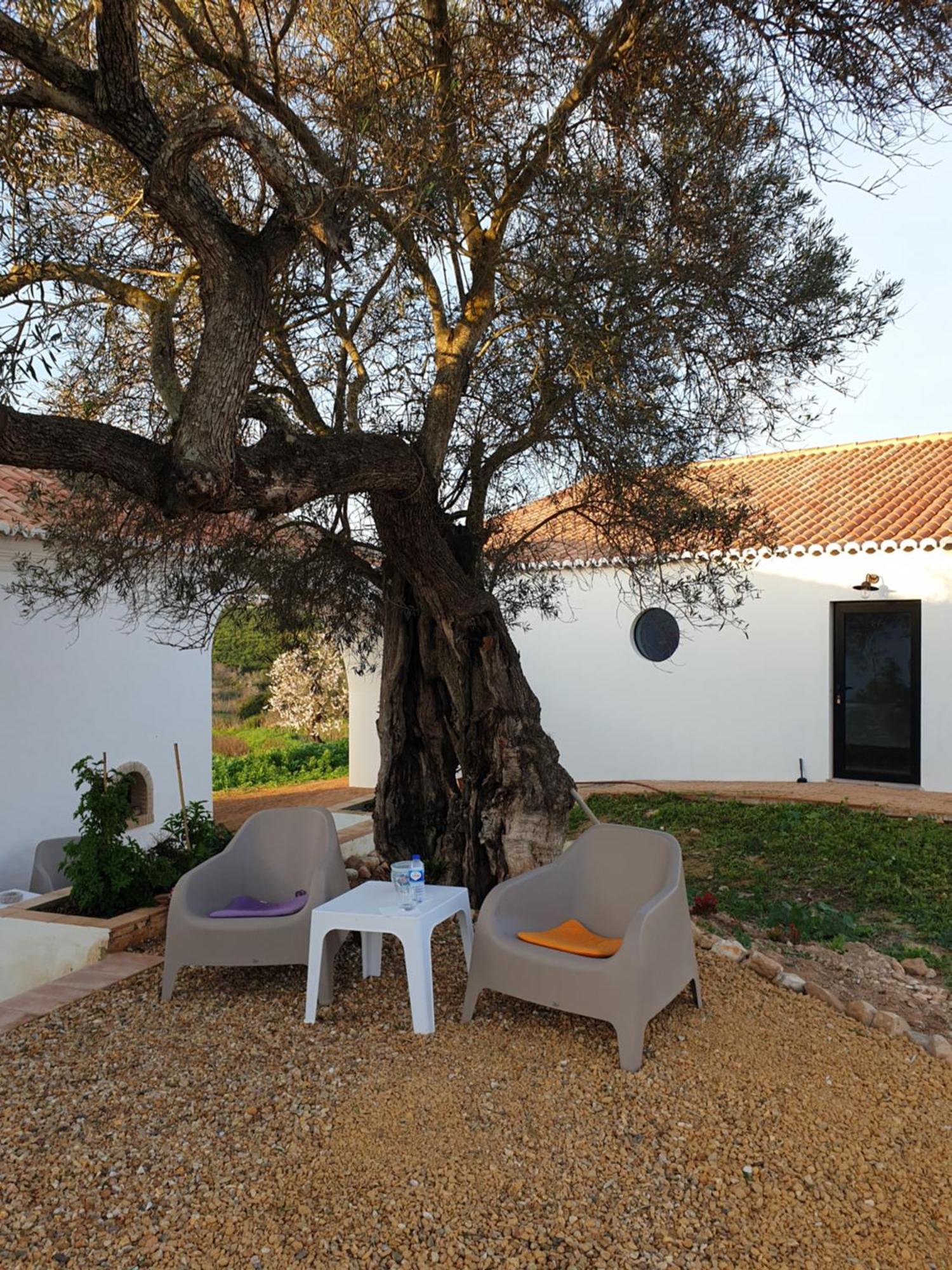 Monte Das Acoteias - Agroturismo Tavira Exterior foto